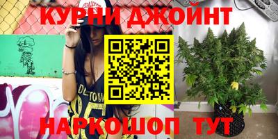 бошки Можга