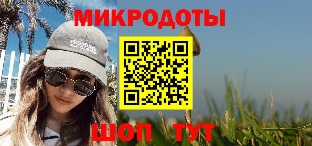 Выборг  Псилоцибиновые грибы Psilocybine cubensis  Галлюциногенные грибы прущие грибы  Вход с VPN 